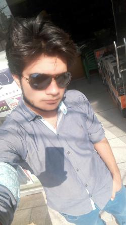 Ash ch model in Sahiwal